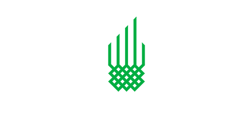 Logo 1